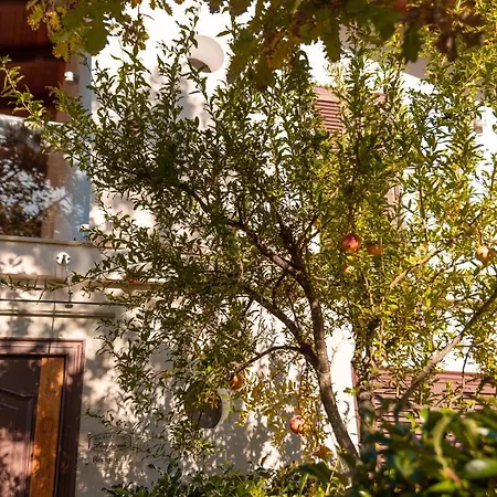 Villa Chiara Ascea